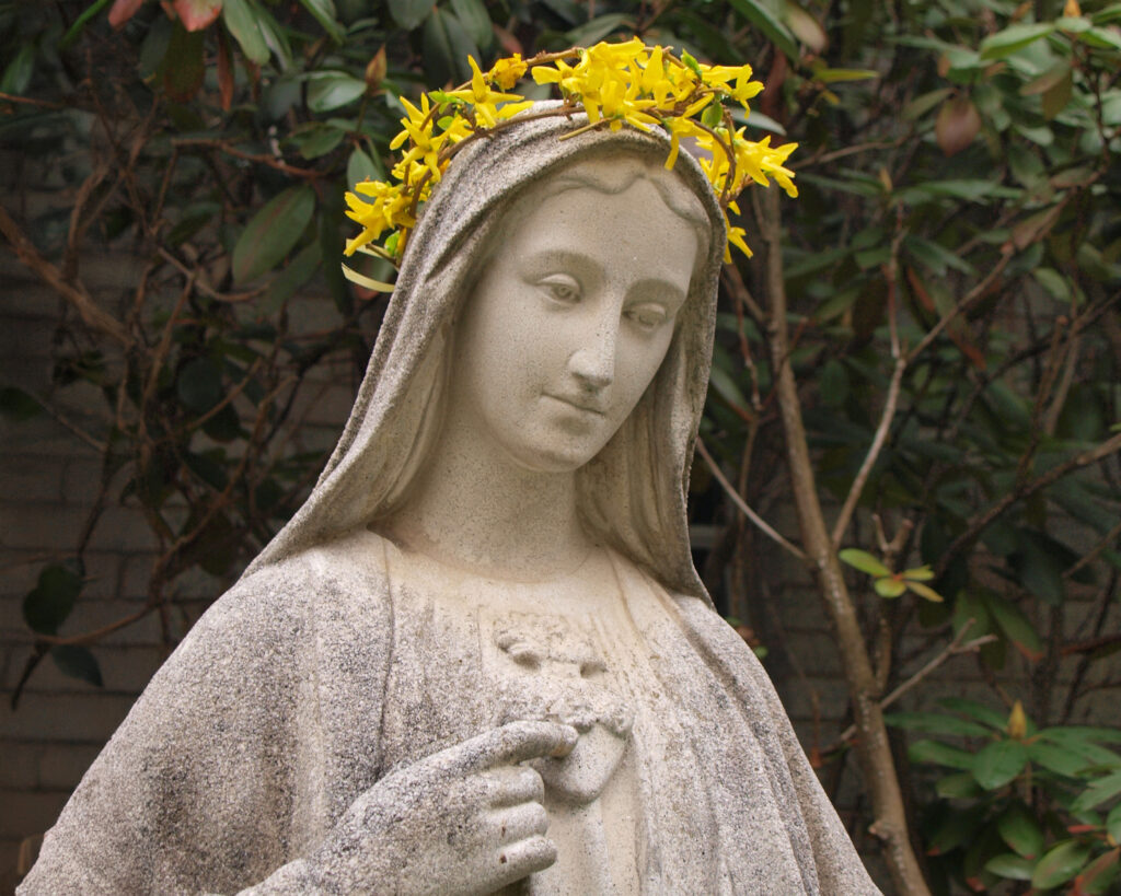 Delve into the captivating world of the Virgin Mary with "Crown of the Virgin." TAN presents the first English edition of this remarkable work by St. Ildephonsus of Toledo. Experience the splendor, sanctity, and beauty of the Blessed Mother as she is adorned with a crown embellished with jewels, stars, and flowers, each representing her immaculate nature.