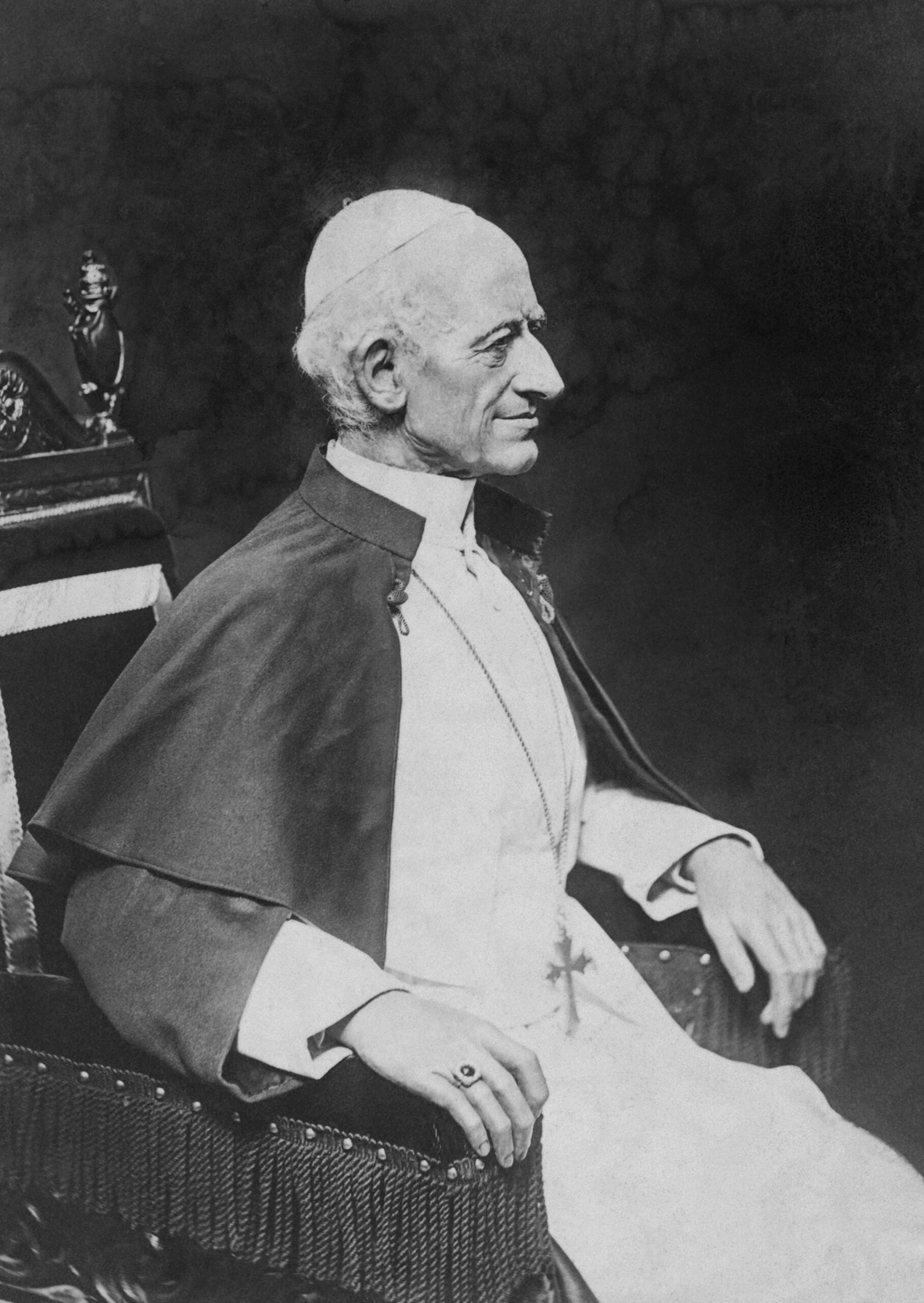 Profile Portrait of Pope Leo XIII / Wikimedia Commons