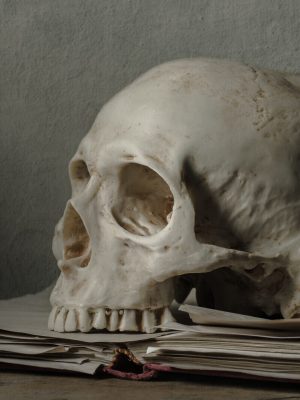 Still,Life,Painting,Photography,With,Human,Skull,And,Book